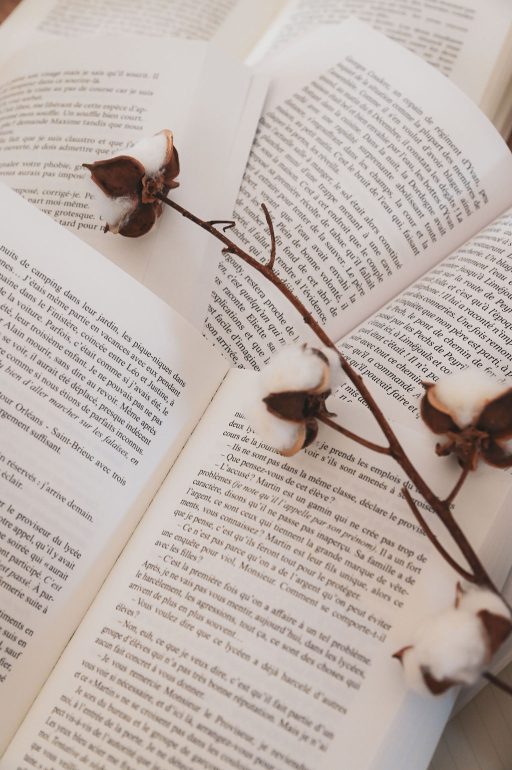 Ecrire son histoire beta lecture NR